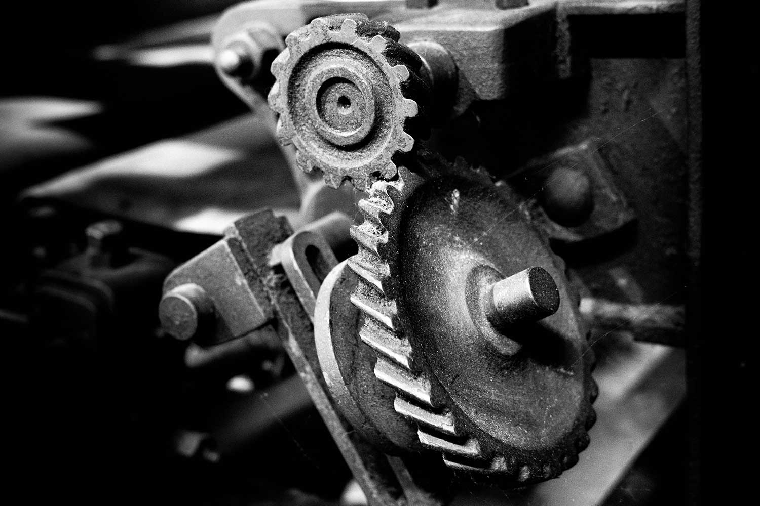 How You Optimize Your Products for Higher Profitability